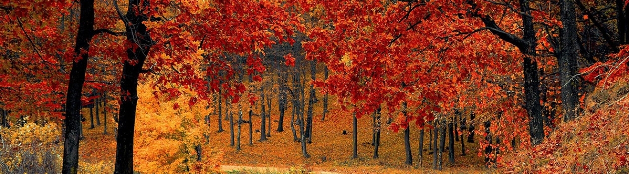 Sapori d’autunno in Umbria